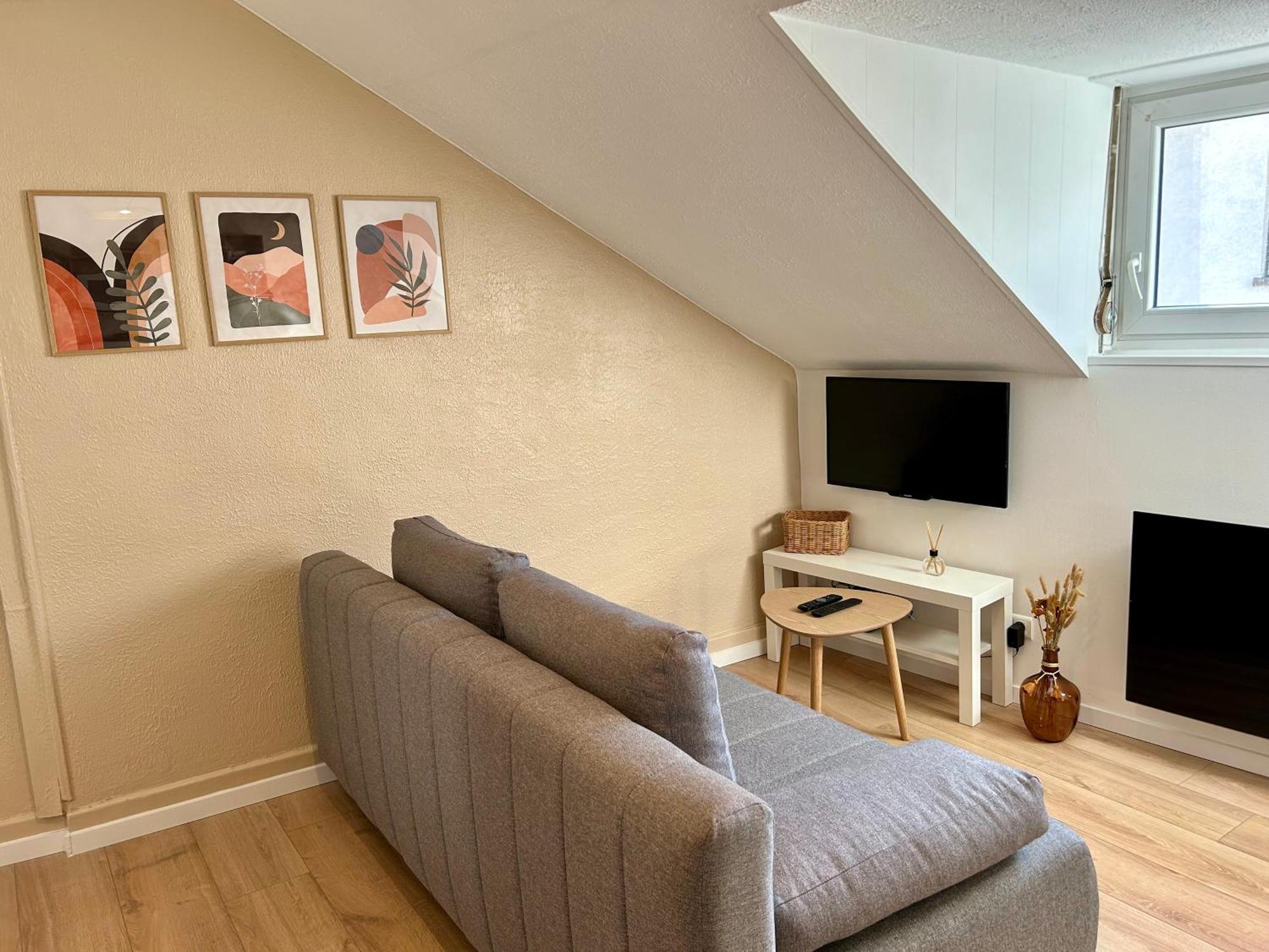 Douce Agathe - Duo-Groupe, Chaleureux, Tram 200M, Centre 10Min Apartment สตราสบูร์ก ภายนอก รูปภาพ